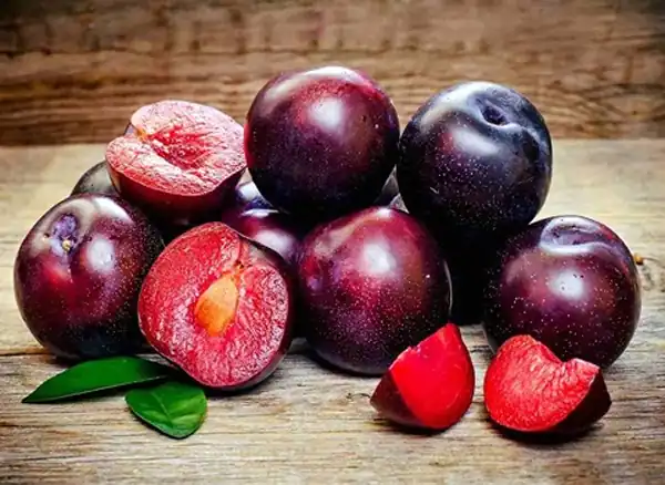 تعبیر چیدن آلو از درخت + درخت آلو زرد و چیدن آلو سیاه از درخت از حضرت یوسف