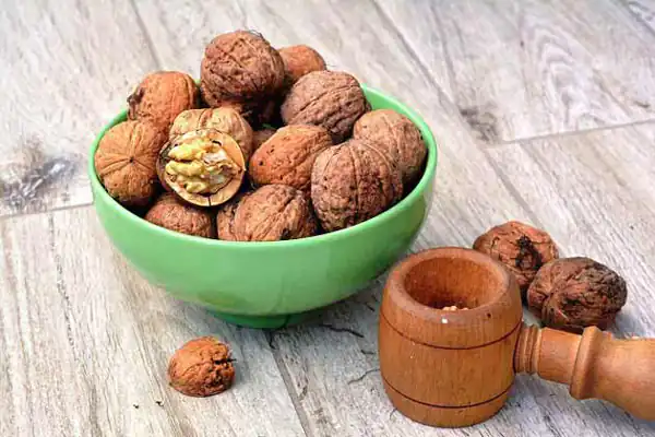 تعبیر خواب دیدن گردو در خواب + گردو تازه از امام صادق و حضرت یوسف