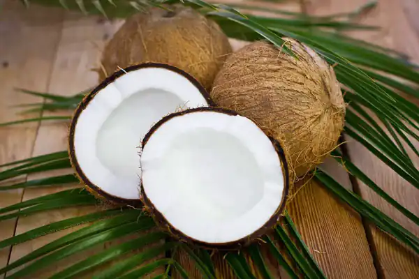تعبیر خواب دیدن نارگیل خوردن + نارگیل امام صادق و حضرت یوسف برای دختر مجرد
