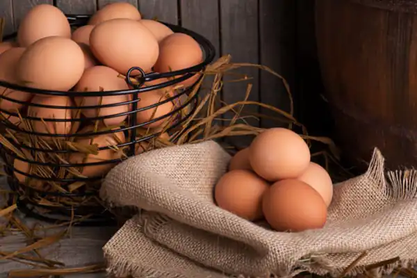 تعبیر خواب دیدن تخمه مرغ + برای زن متاهل و شکستن تخمه مرغ از امام صادق