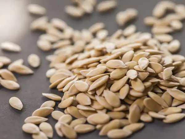 تعبیر خواب دیدن تخمه خربزه + حضرت یوسف و انواع تخمه ژاپنی و کندن خربزه