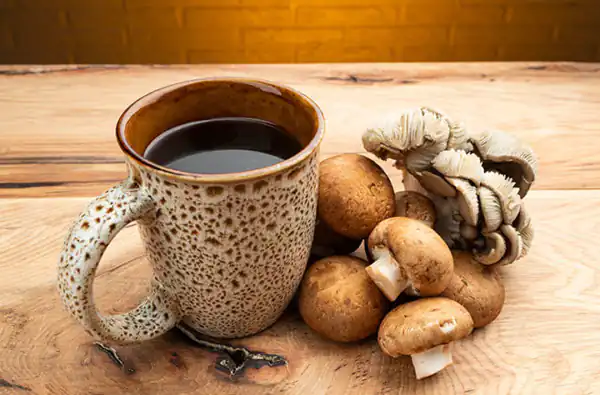 تعبیر خواب قارچ قهوه ای + قارچ دراوردن از زمین و قارچ سفید امام صادق
