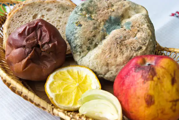 تعبیر خواب غذای کپک زده + کپک زدن بدن و برنج کپک زده و مربای کپک زده