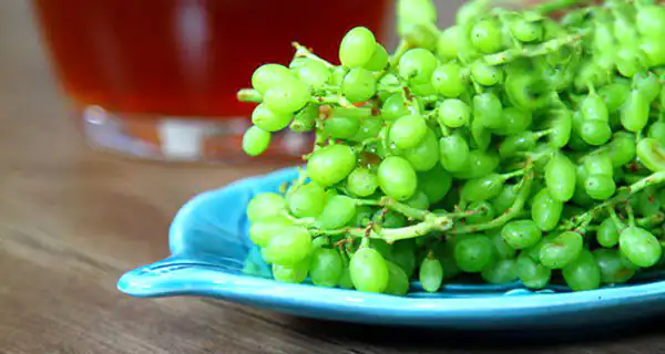 تعبیر خواب غوره خوردن + امام صادق و حضرت یوسف و غوره سبز برای دختر مجرد