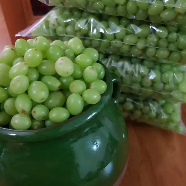 تعبیر خواب غوره سبز امام صادق و حضرت یوسف + غوره سبز برای دختر مجرد