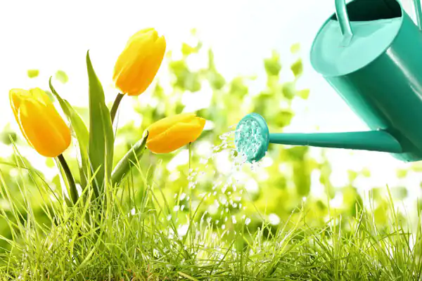تعبیر خواب گل کاشتن + کاشتن گل و گیاه در باغچه و گلدان برای دختر مجرد