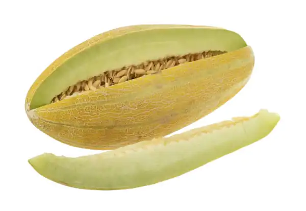 تعبیر خواب خربزه خیلی بزرگ + خربزه گرفتن از دیگران حضرت یوسف