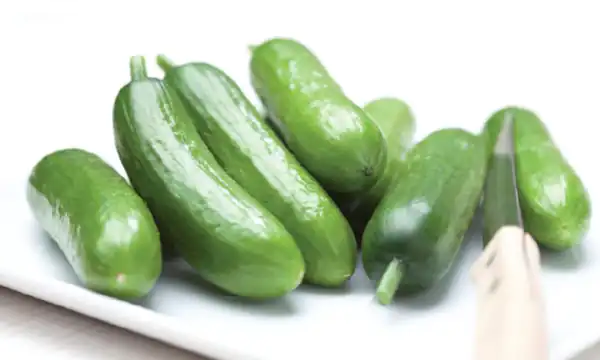تعبیر خواب خیار گندیده برای زن متاهل + خیار سبز امام صادق و حضرت یوسف