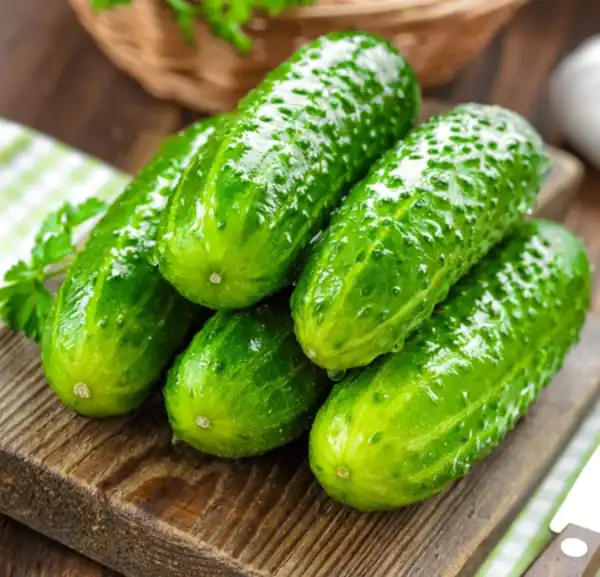 تعبیر خواب خیار گرمک + خیار سبز امام صادق و چیدن خیار برای دختر مجرد