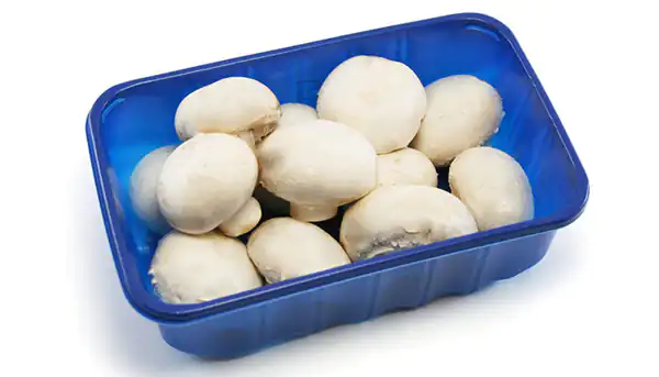 تعبیر خواب خوردن قارچ + قارچ دراوردن از زمین و چیدن قارچ یوسف پیامبر