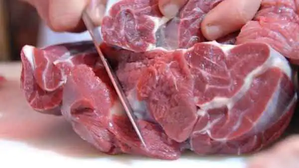 تعبیر خواب خوردن گوشت گوزن از دید ابن سیرین و امام صادق و حضرت یوسف