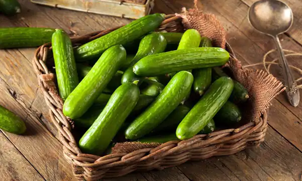 تعبیر خواب خوردن خیار برای زن متاهل + خیار سبز امام صادق و حضرت یوسف