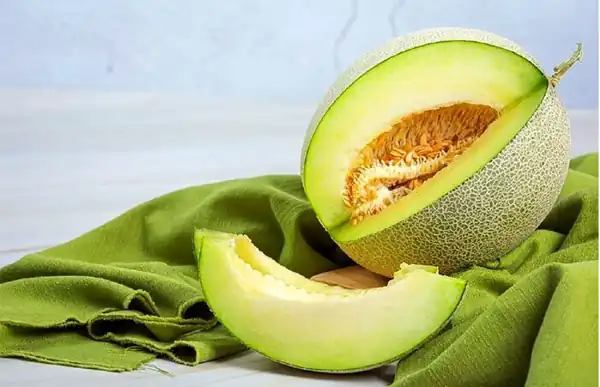 تعبیر خواب ملون + گرمک و شمامه و طالبی و خربزه برای دختر مجرد حضرت یوسف