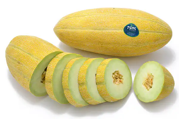 تعبیر خواب میوه خربزه برای دختر مجرد + خربزه گرفتن از دیگران از حضرت یوسف