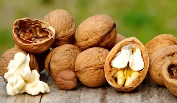تعبیر خواب گردو امام صادق تعبیر خواب گردو از حضرت یوسف تعبیر خواب گردو دادن به مرده تعبیر خواب گردو تازه تعبیر خواب گردو جمع کردن تعبیر خواب گرفتن گردو از دیگران تعبیر خواب گردو شکستن و خوردن تعبیر خواب مغز گردو سفید