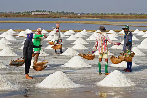 تعبیر خواب نمک برای دختر مجرد تعبیر خواب نمک حضرت یوسف تعبیر خواب نمک از امام صادق تعبیر خواب نمک امام رضا تعبیر خواب نمک برای زن متاهل تعبیر خواب نمک پاشیدن در خانه تعبیر خواب سنگ نمک امام صادق تعبیر خواب نمک پاشیدن روی سر