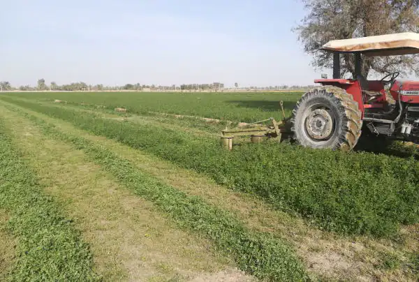 تعبیر خواب شخم زدن زمین کشاورزی توسط دیگران از امام صادق با بیل