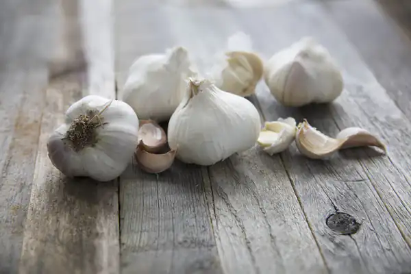 تعبیر خواب سیر ابن سیرین + حضرت یوسف و سیر سبز تازه و سفید و خشک
