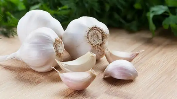 تعبیر خواب سیر خوردن + امام صادق و حضرت یوسف و سیر سبز تازه برای دختر مجرد