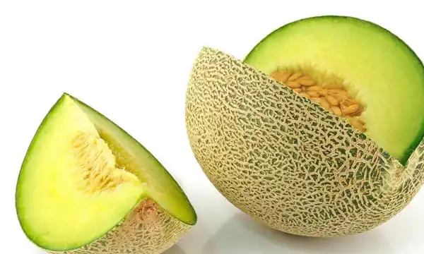 تعبیر خواب طالبی چیست برای دختر مجرد + طالبی سبز گرفتن برای زن باردار