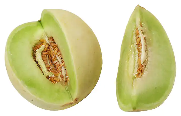 تعبیر خواب طالبی ابن سیرین + طالبی سبز و زرد و گرفتن طالبی از مرده