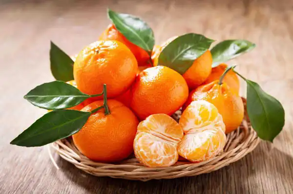 تعبیر خواب نارنگی شیرین + کندن نارنگی از درخت برای دختر مجرد از حضرت یوسف