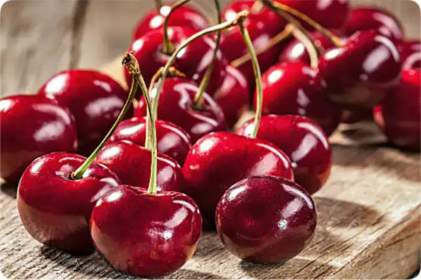 تعبیر خواب آلبالو برای زن متاهل + چیدن و خوردن و آلبالو ترش و قرمز