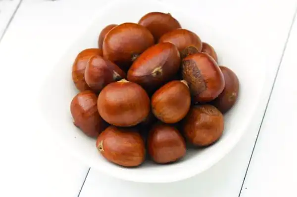 تعبیر خواب بلوط برای زن باردار + بلوط و جنسیت جنین و بلوط و رزق و روزی