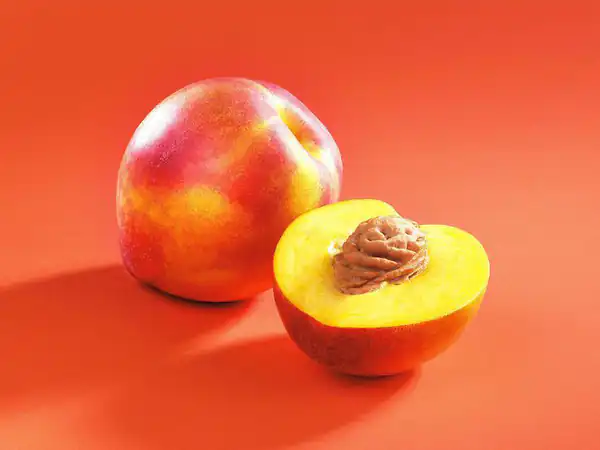 تعبیر خواب چیدن شلیل از درخت + بالا رفتن از درخت و افتادن از درخت برای چیدن شلیل