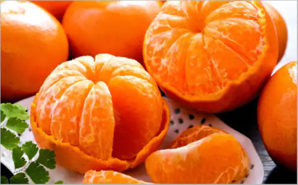 تعبیر خواب دیدن نارنگی + باغ نارنگی و نارنگی کال و ترش