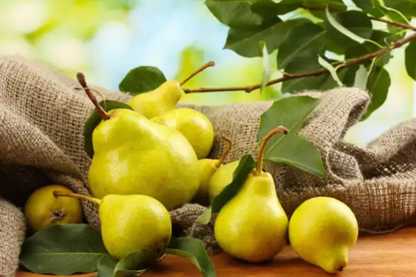 تعبیر گلابی در خواب زن باردار + گلابی چیدن زن باردار و گلابی ترش برای زن باردار