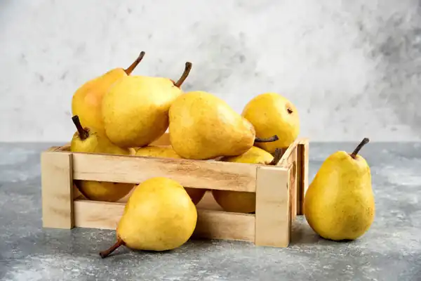 تعبیر خواب گلابی کال + دیدن درخت گلابی با میوه های کال و خرید گلابی کال