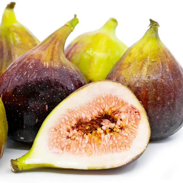 تعبیر خواب گلابی و انجیر + دیدن درخت گلابی و انجیر و چیدن گلابی و انجیر