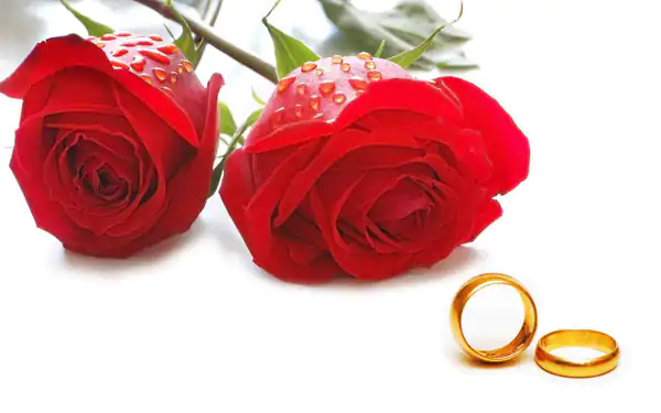 تعبیر خواب خواستگار آمدن برای دخترم برای زن متاهل + دختر مجرد و نگرانی و ازدواج