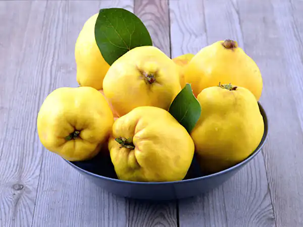 تعبیر خواب خوردن به شیرین + به شیرین در باغ و به شیرین و تشنه شدن