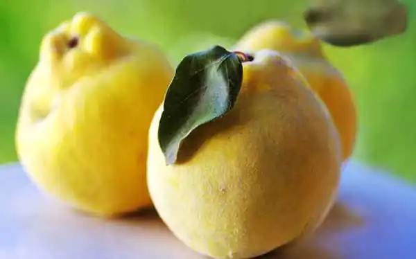 تعبیر خواب میوه به برای زن باردار + به و جنسیت جنین و به و رزق و روزی