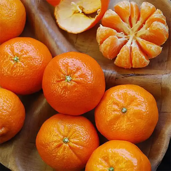 تعبیر خواب نارنگی برای زن متاهل + چیدن و خوردن و نارنگی شیرین