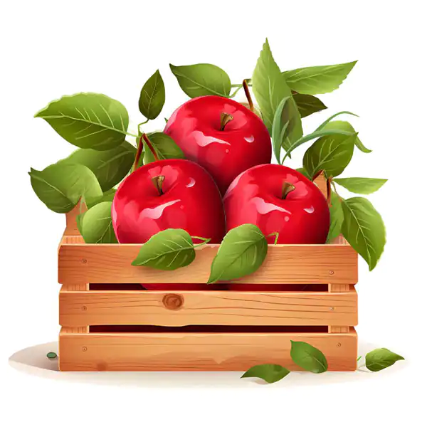 تعبیر خواب سبد سیب برای زن متاهل + سبد پر از سیب قرمز و رزق و زوری و سلامتی