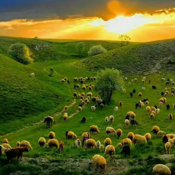 تعبیر خواب طبیعت سرسبز دیدن + دشت سرسبز دیدن و عکس گرفتن از طبیعت سرسبز