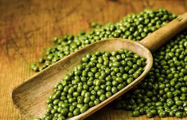 تعبیر خواب ماش خام + برای دختر مجرد و زن باردار