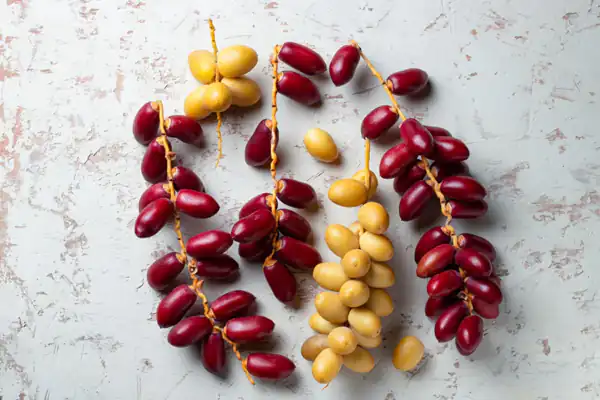تعبیر خواب خارک و رطب + برای زن متاهل و باردار و دختر مجرد و از دید مولف