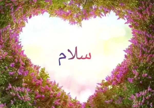 تعبیر خواب سلام بی جواب + برای زن متاهل و باردار و دختر مجرد از دید مولف