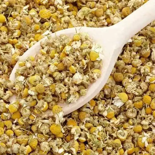 تعبیر خواب بابونه خشک + برای زن متاهل و باردار و دختر مجرد و از دید مولف