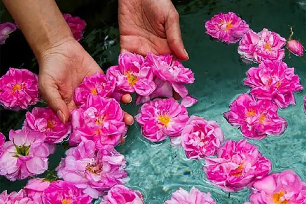 تعبیر خواب بوی گل + برای زن متاهل و باردار و دختر مجرد و از دید مولف
