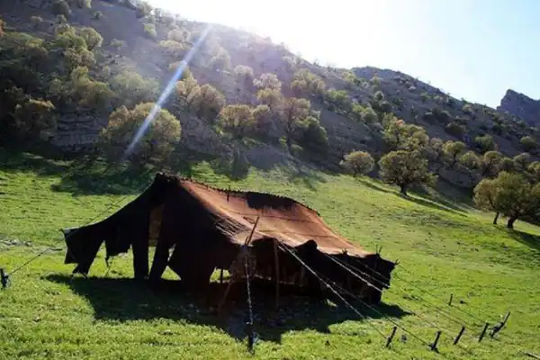 تعبیر خواب چادر عشایر + برای زن متاهل و باردار و دختر مجرد و از دید مولف