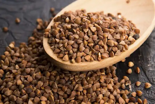 تعبیر خواب گندم سیاه + برای زن متاهل و باردار و دختر مجرد و از دید مولف