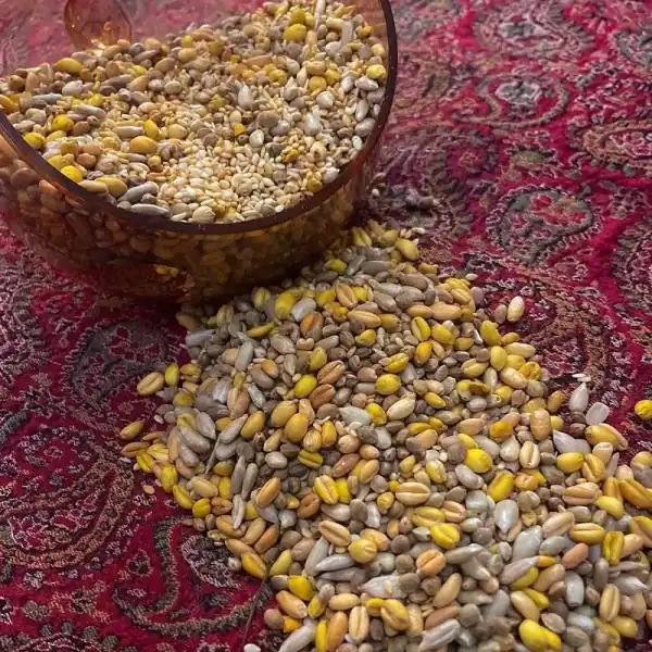 تعبیر خواب گندم و شاهدانه + برای زن متاهل و باردار و دختر مجرد و از دید مولف