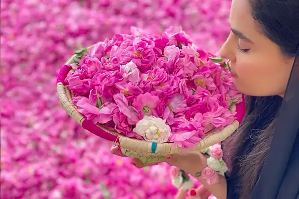 تعبیر خواب گلاب گیری + برای زن متاهل و باردار و دختر مجرد و از دید مولف