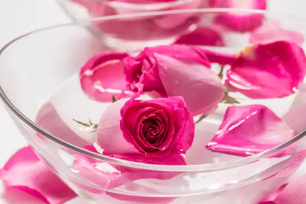 تعبیر خواب گلاب نذری + برای زن متاهل و باردار و دختر مجرد و از دید مولف