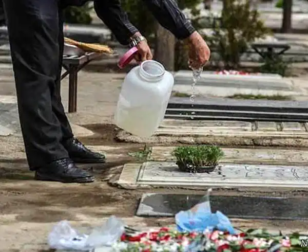 تعبیر خواب گلاب ریختن روی قبر + برای زن متاهل و باردار و دختر مجرد و از دید مولف